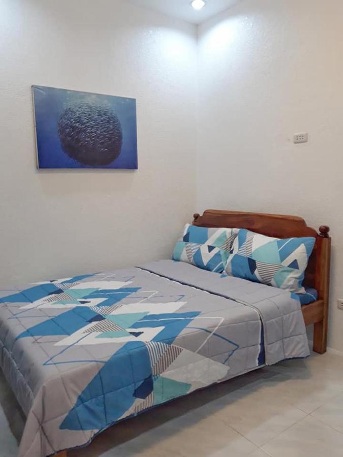 Jah'S Anemone Dive Guesthouse 몰볼 외부 사진