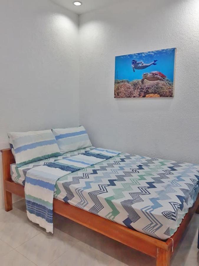 Jah'S Anemone Dive Guesthouse 몰볼 외부 사진