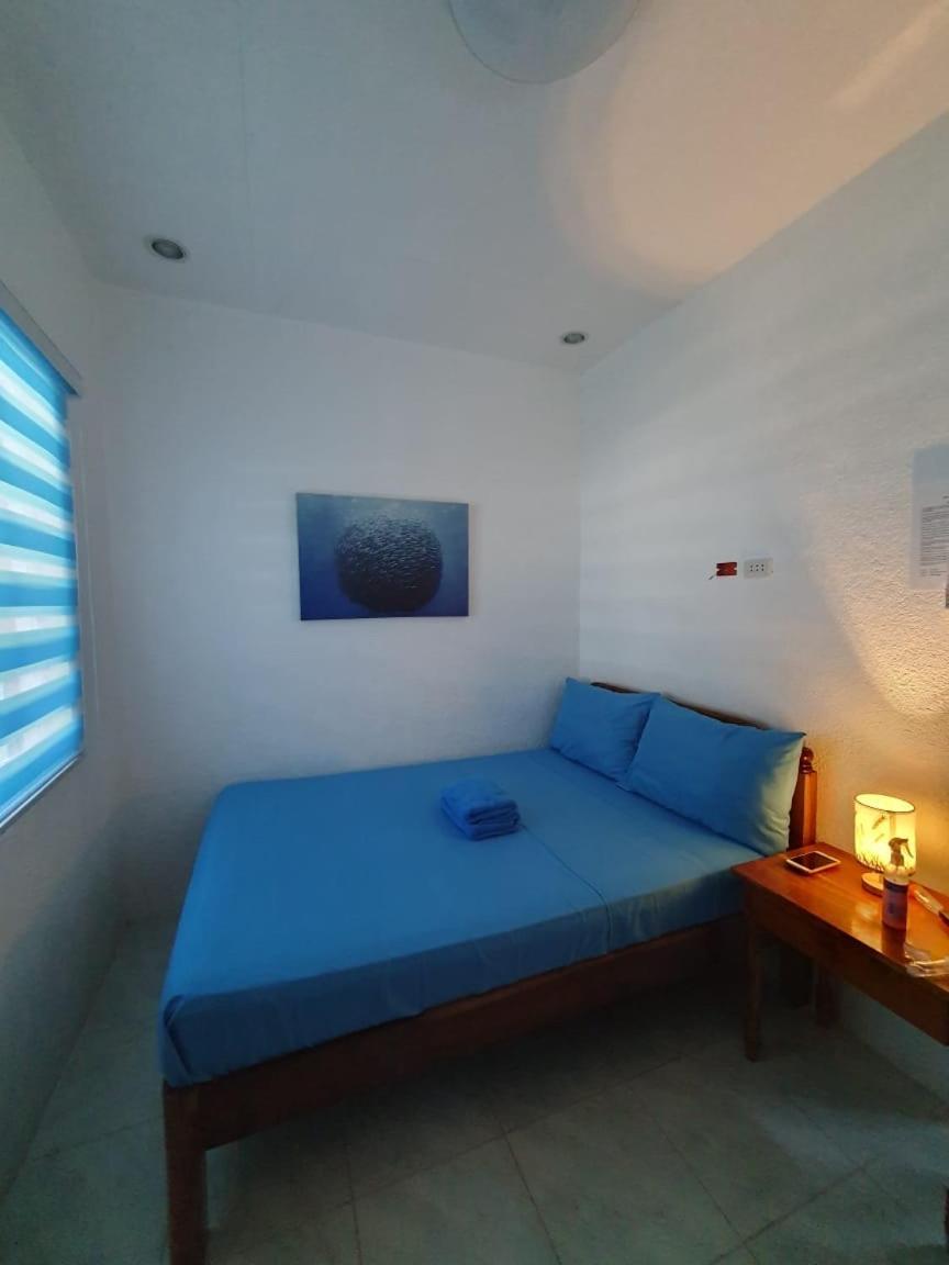 Jah'S Anemone Dive Guesthouse 몰볼 외부 사진