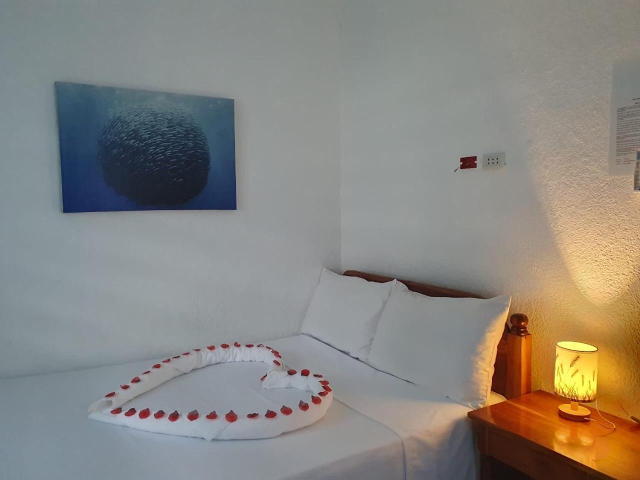 Jah'S Anemone Dive Guesthouse 몰볼 외부 사진