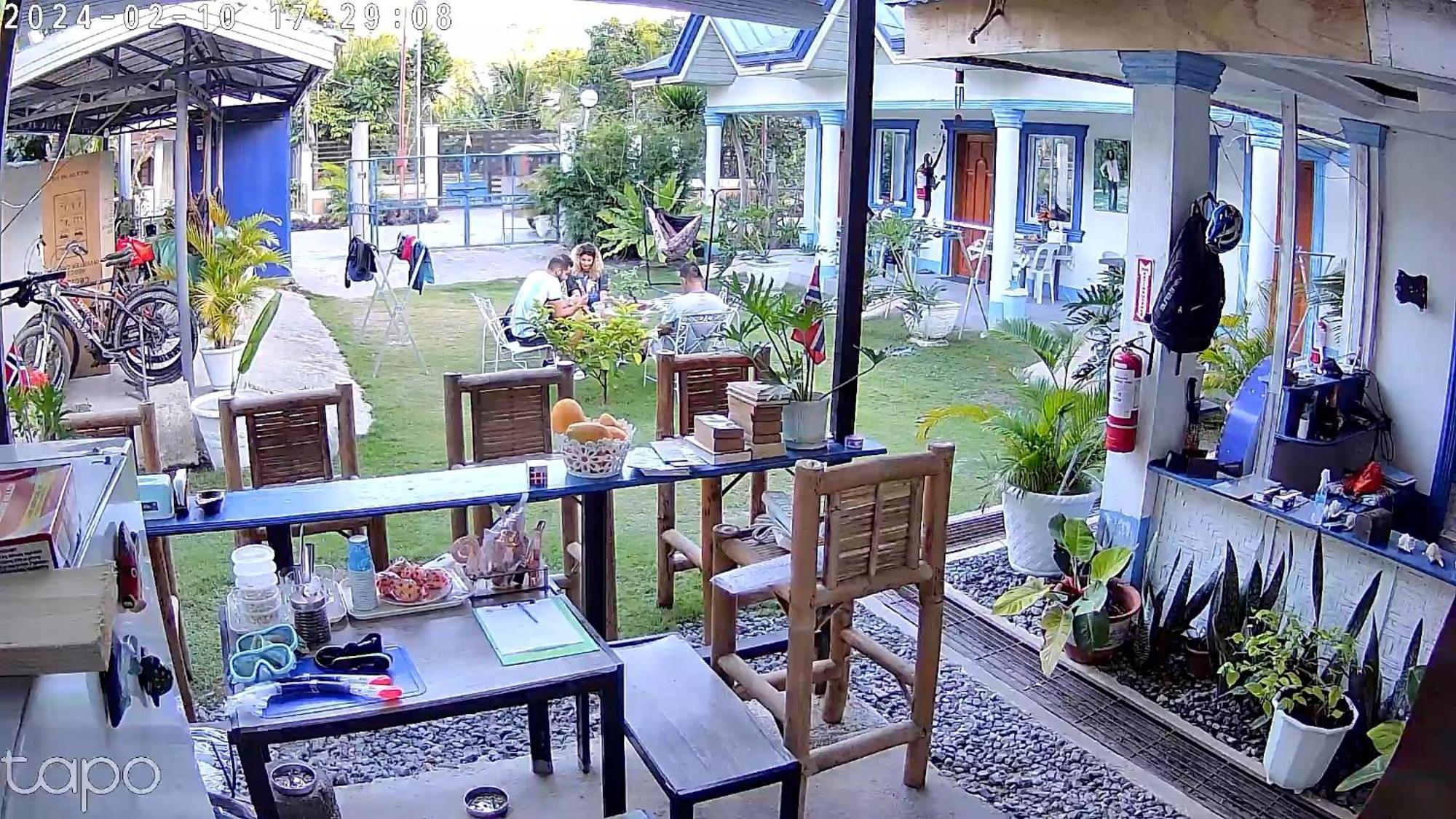 Jah'S Anemone Dive Guesthouse 몰볼 외부 사진