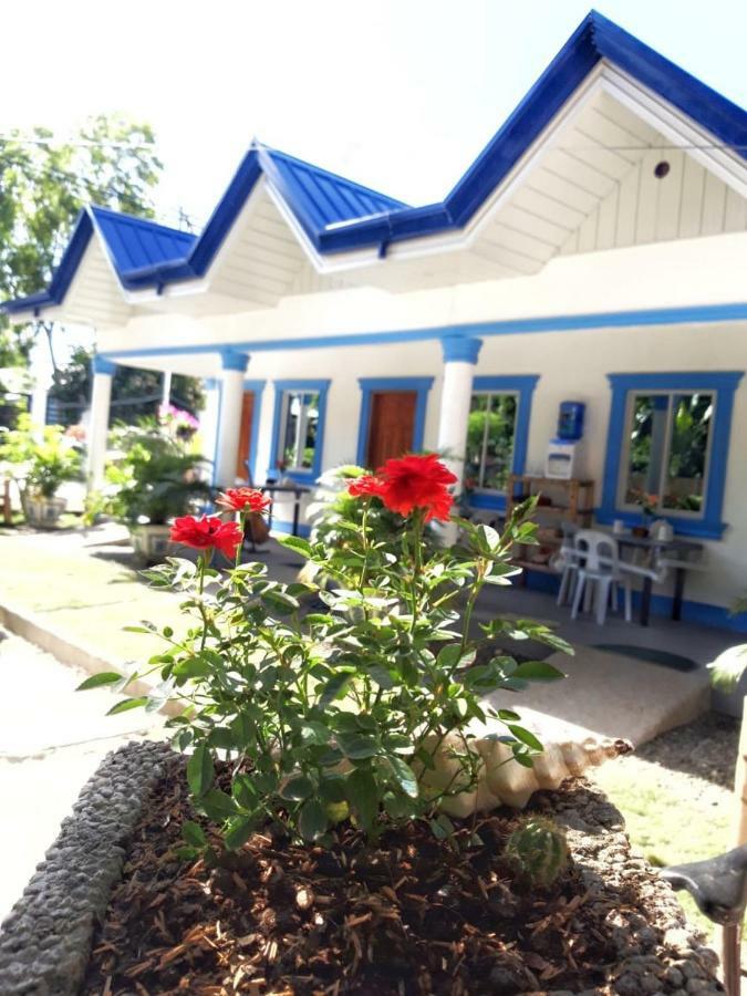 Jah'S Anemone Dive Guesthouse 몰볼 외부 사진