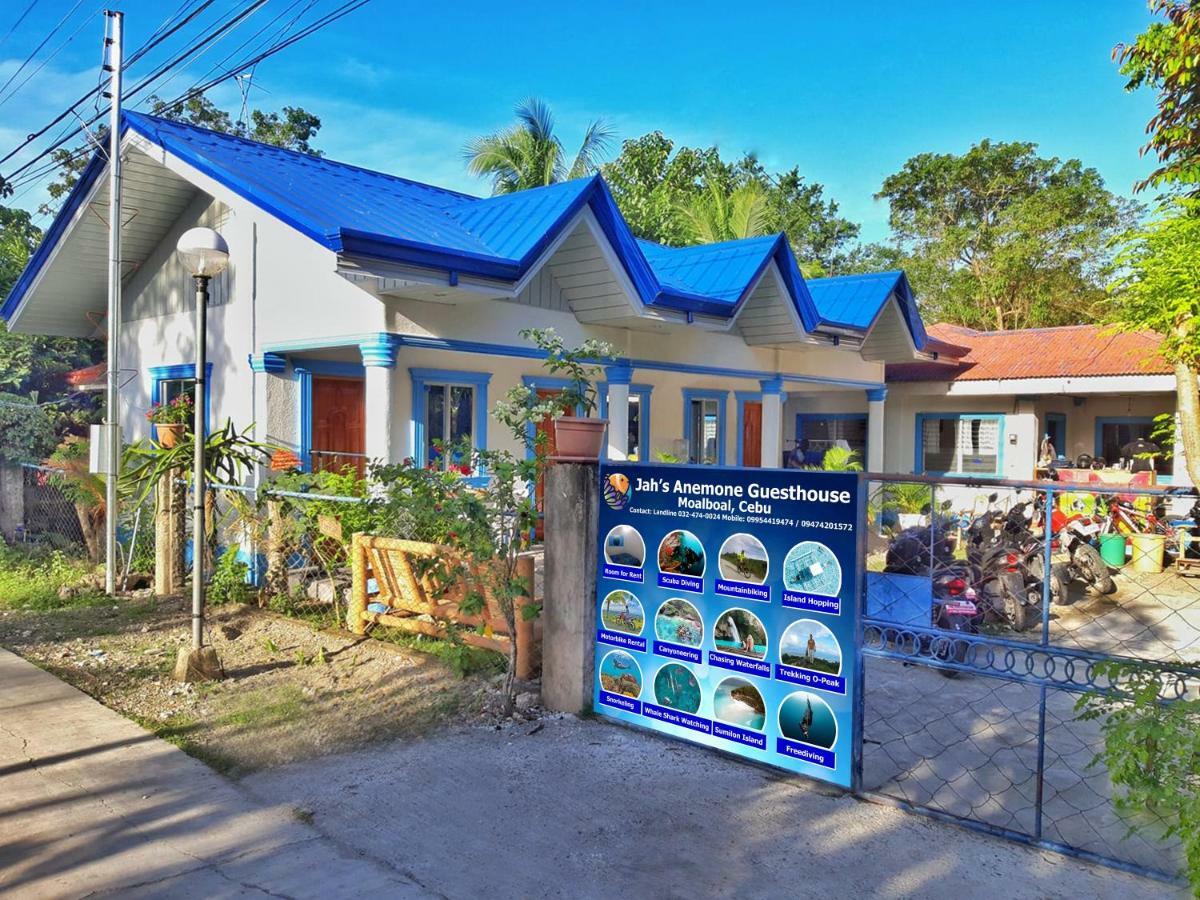 Jah'S Anemone Dive Guesthouse 몰볼 외부 사진